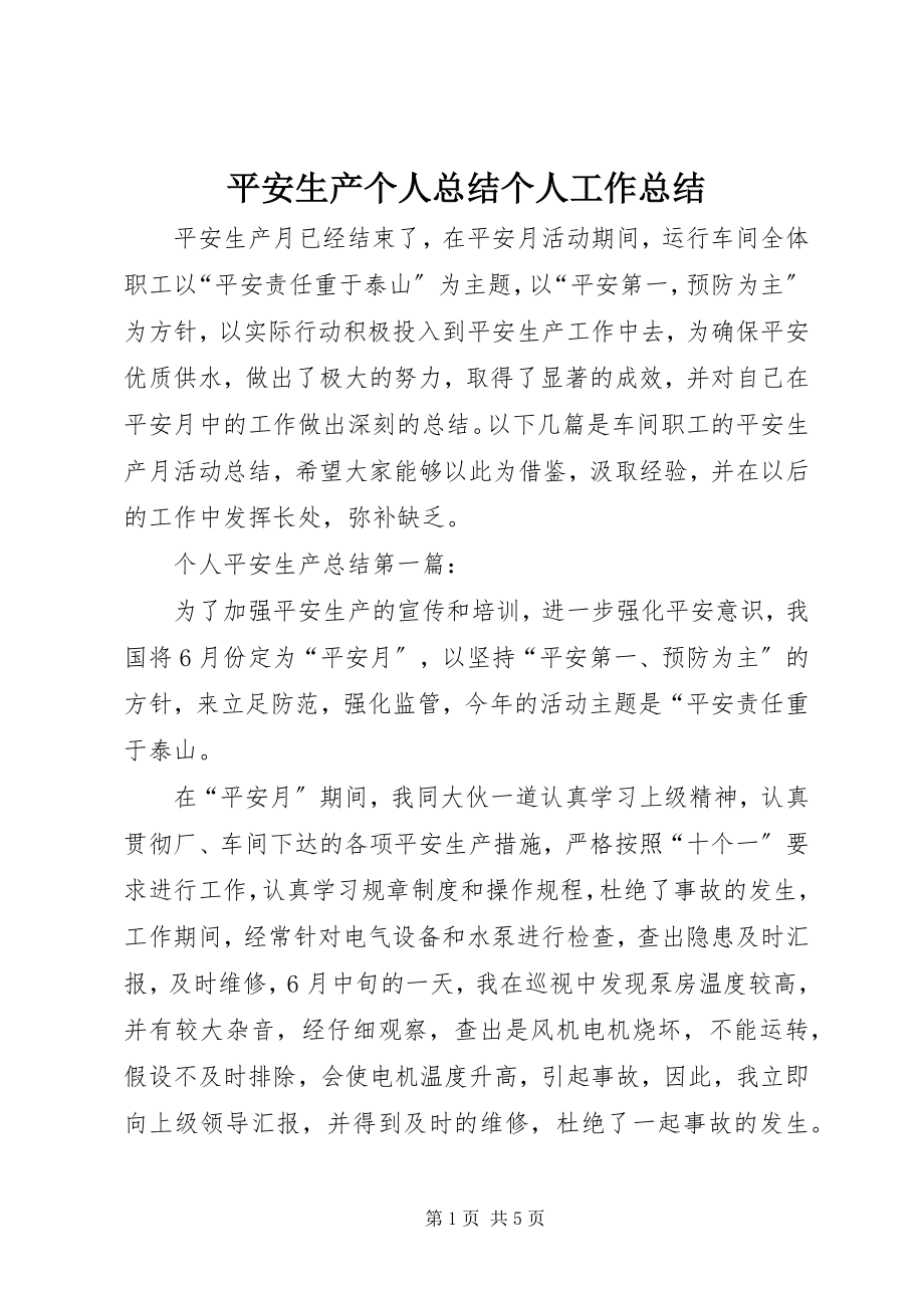 2023年安全生产个人总结个人工作总结新编.docx_第1页