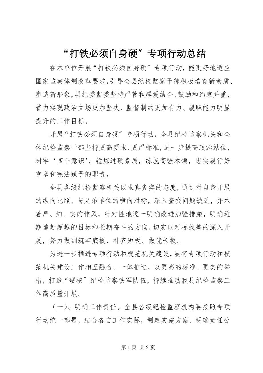 2023年打铁必须自身硬专项行动总结.docx_第1页