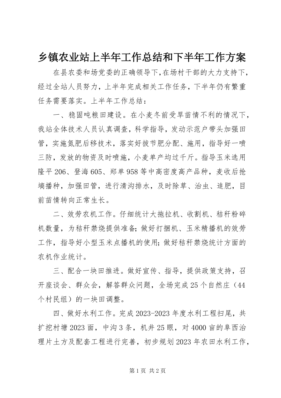 2023年乡镇农业站上半年工作总结和下半年工作计划.docx_第1页