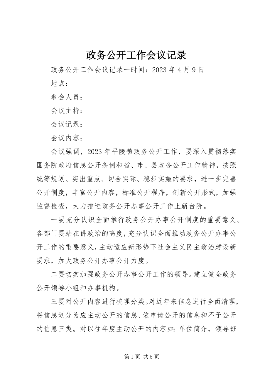 2023年政务公开工作会议记录.docx_第1页