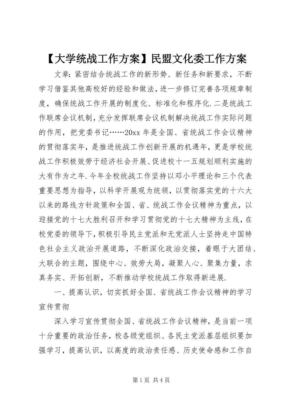 2023年大学统战工作计划民盟文化委工作计划.docx_第1页