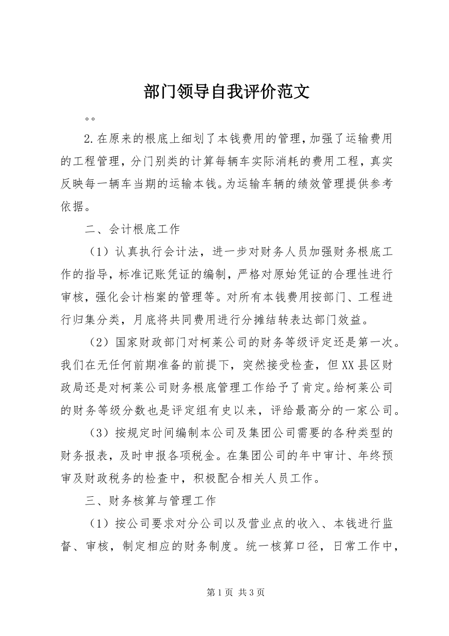 2023年部门领导自我评价.docx_第1页