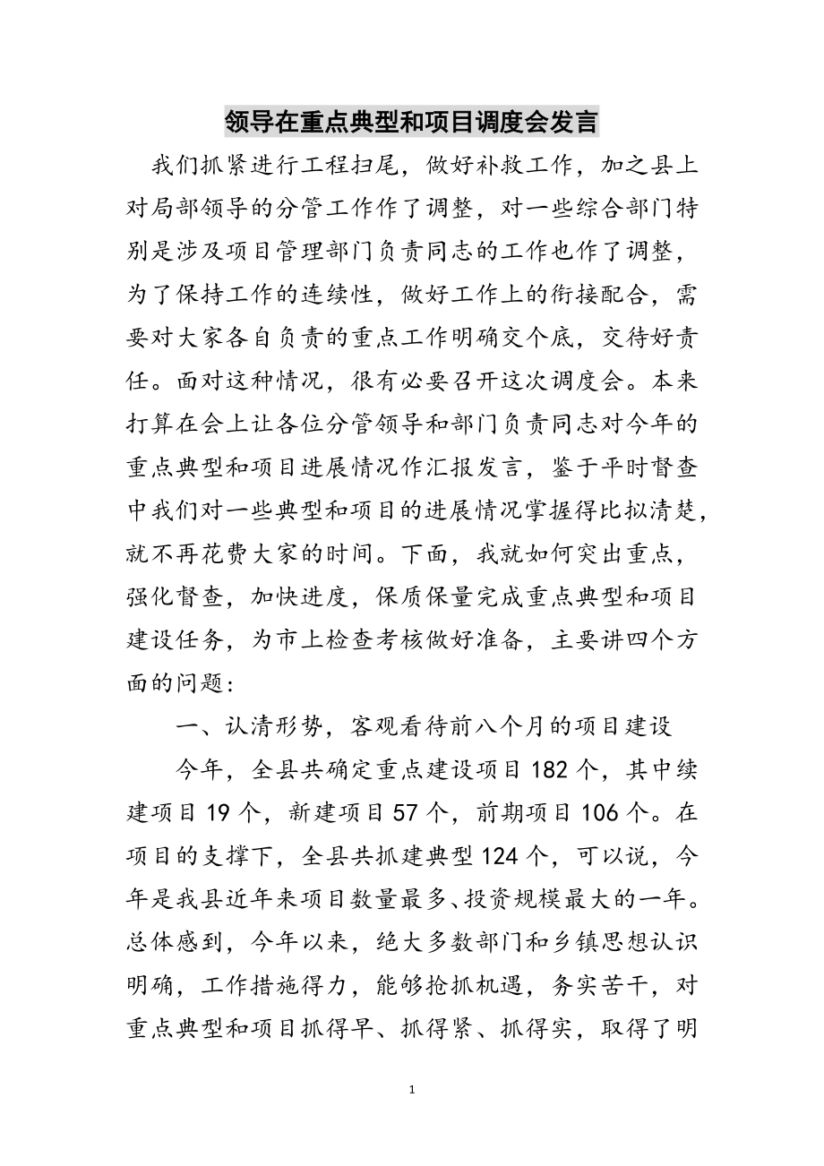 2023年领导在重点典型和项目调度会发言范文.doc_第1页