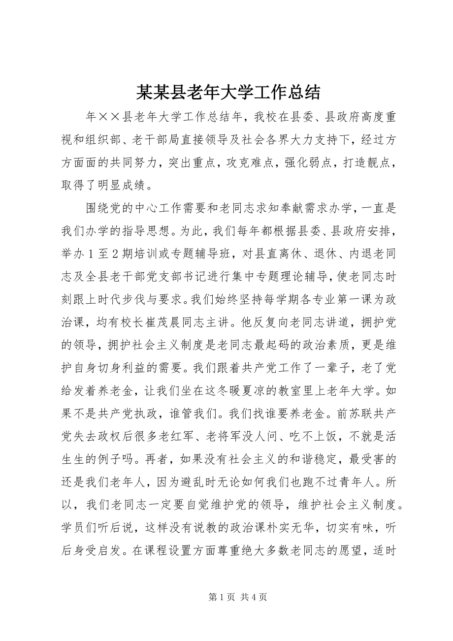 2023年某某县老大学工作总结.docx_第1页