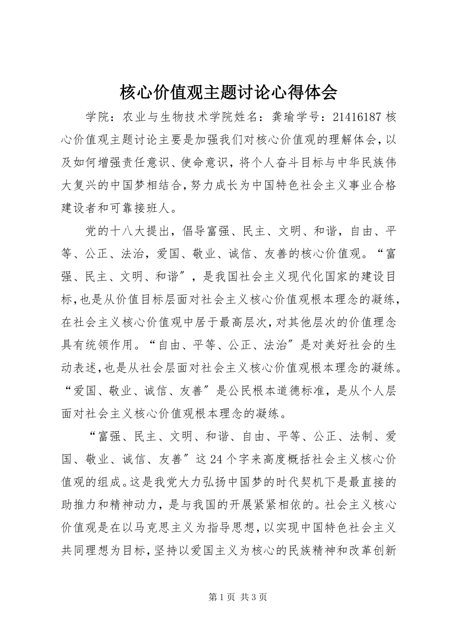 2023年核心价值观主题讨论心得体会.docx_第1页