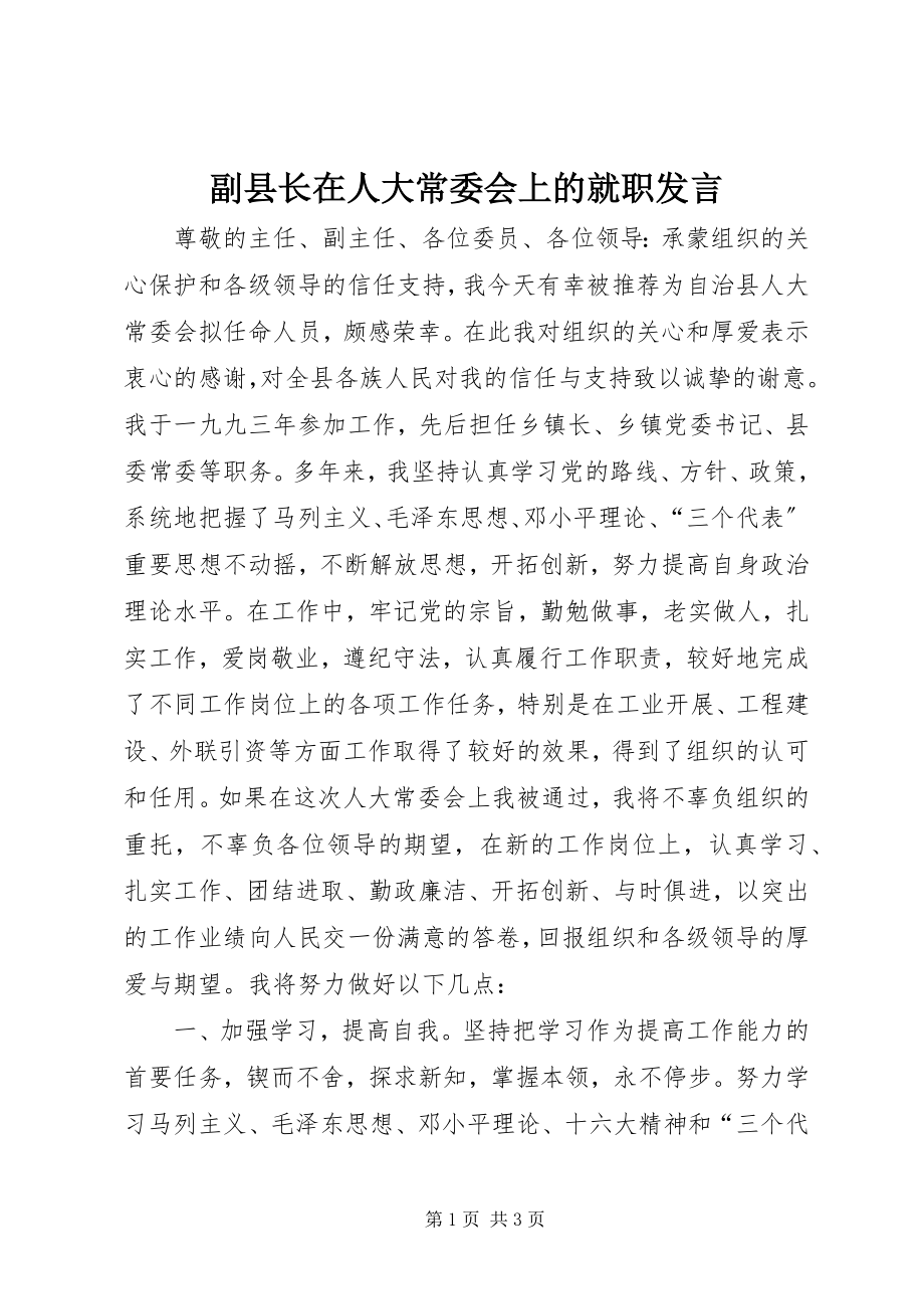 2023年副县长在人大常委会上的就职讲话.docx_第1页