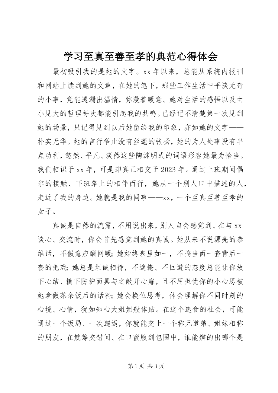 2023年学习至真至善至孝的典范心得体会.docx_第1页