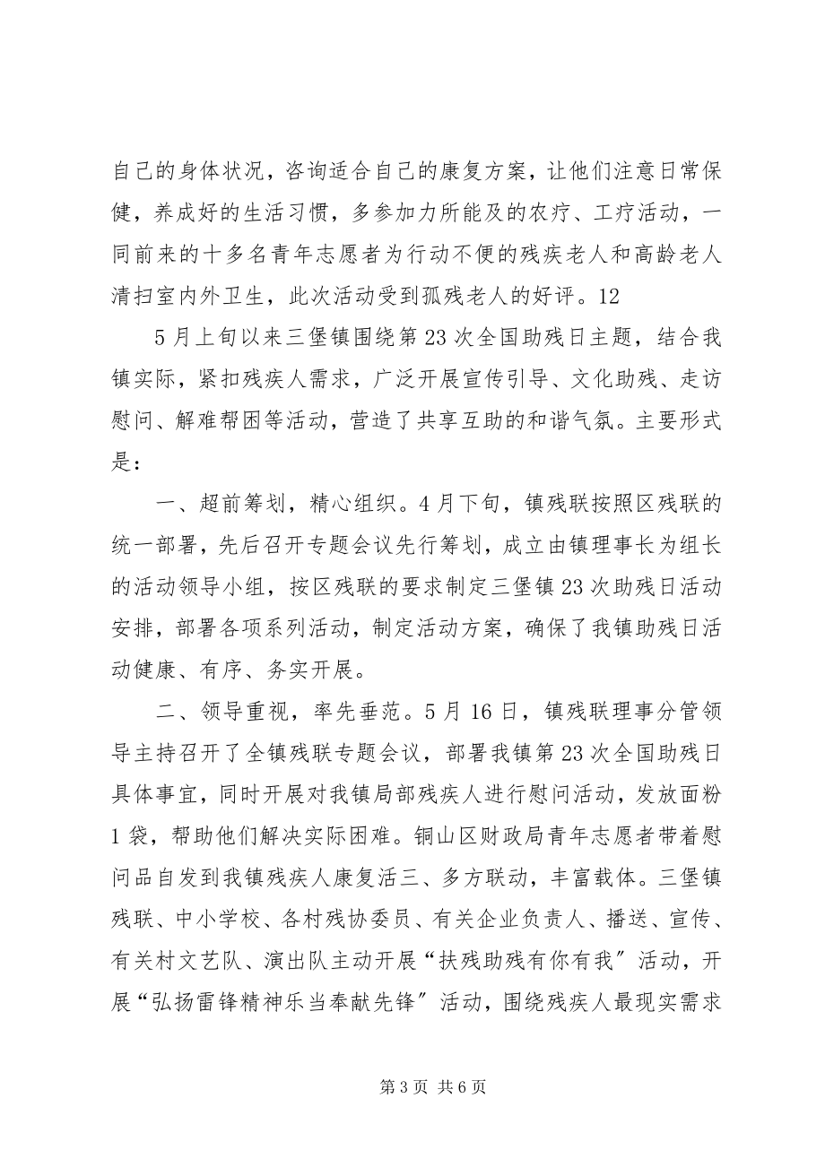 2023年xx镇助残日活动总结.docx_第3页