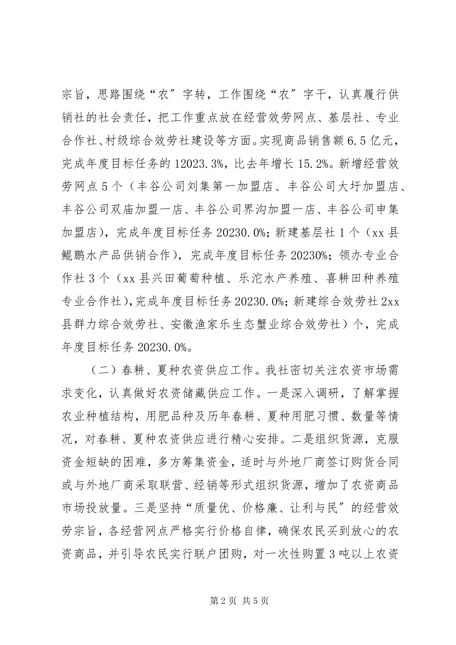 2023年乡镇供销社年度工作总结和工作计划.docx_第2页