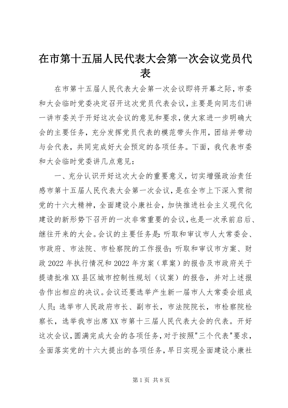 2023年在市第十五届人民代表大会第一次会议党员代表.docx_第1页