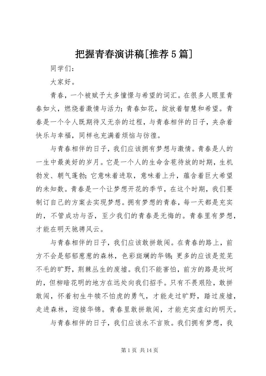 2023年把握青春演讲稿推荐5篇新编.docx_第1页