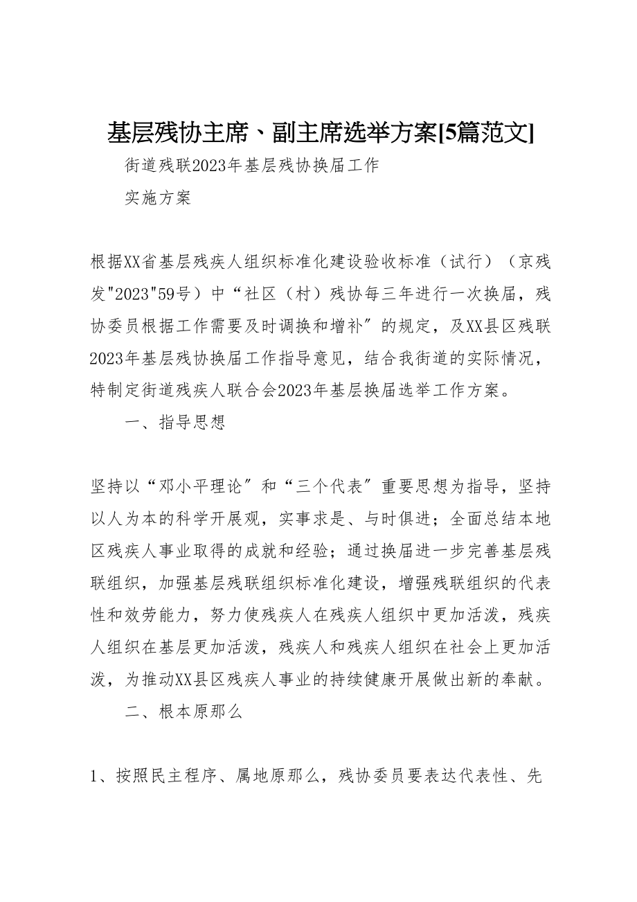 2023年基层残协主席副主席选举方案5篇范文.doc_第1页