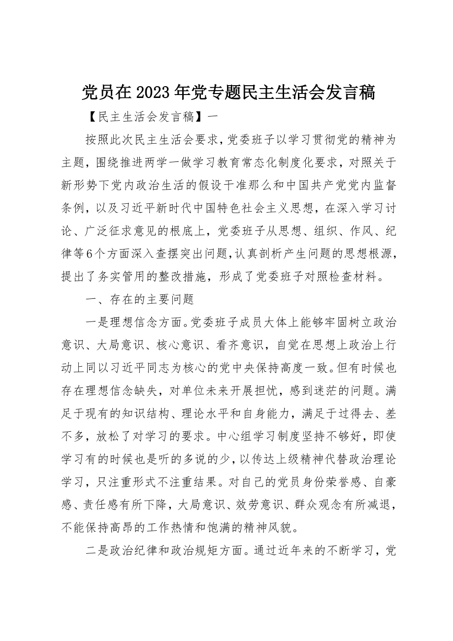 2023年党员在某年党专题民主生活会讲话稿.docx_第1页