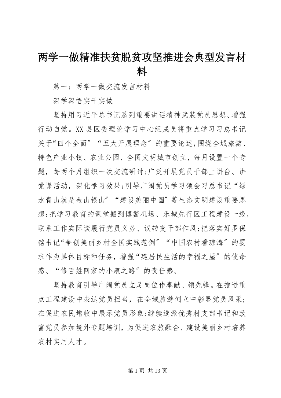 2023年两学一做精准扶贫脱贫攻坚推进会典型讲话材料.docx_第1页