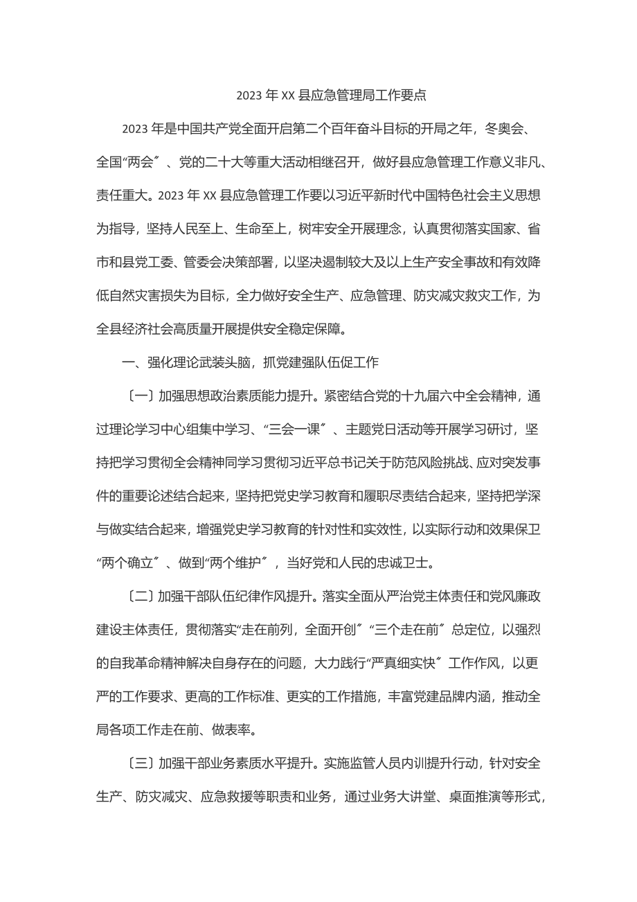 XX县应急管理局工作要点.docx_第1页