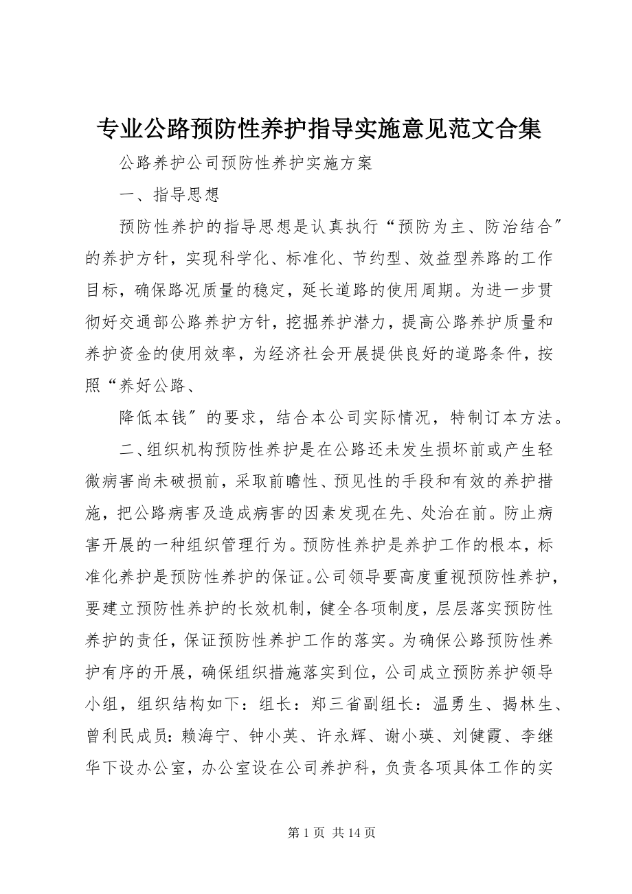 2023年专业公路预防性养护指导实施意见合集.docx_第1页