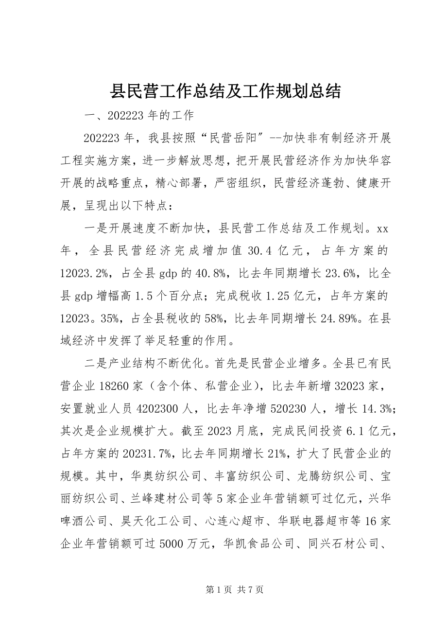 2023年县民营工作总结及工作规划总结.docx_第1页