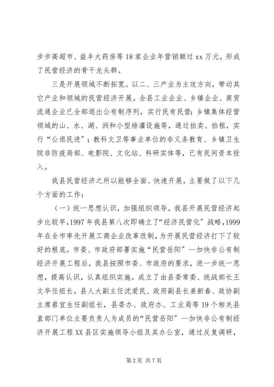 2023年县民营工作总结及工作规划总结.docx_第2页