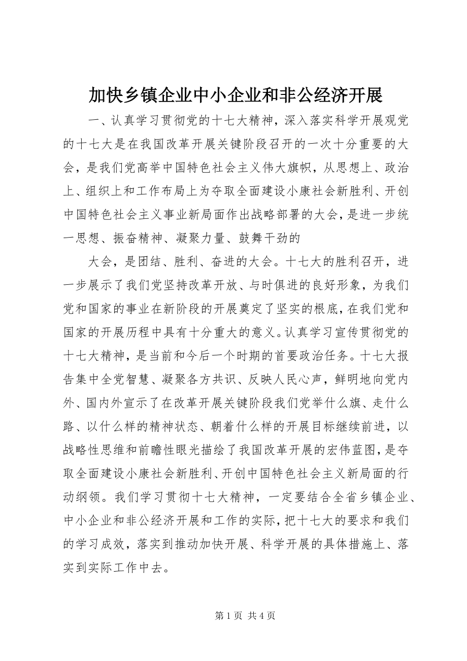 2023年加快乡镇企业中小企业和非公经济发展.docx_第1页