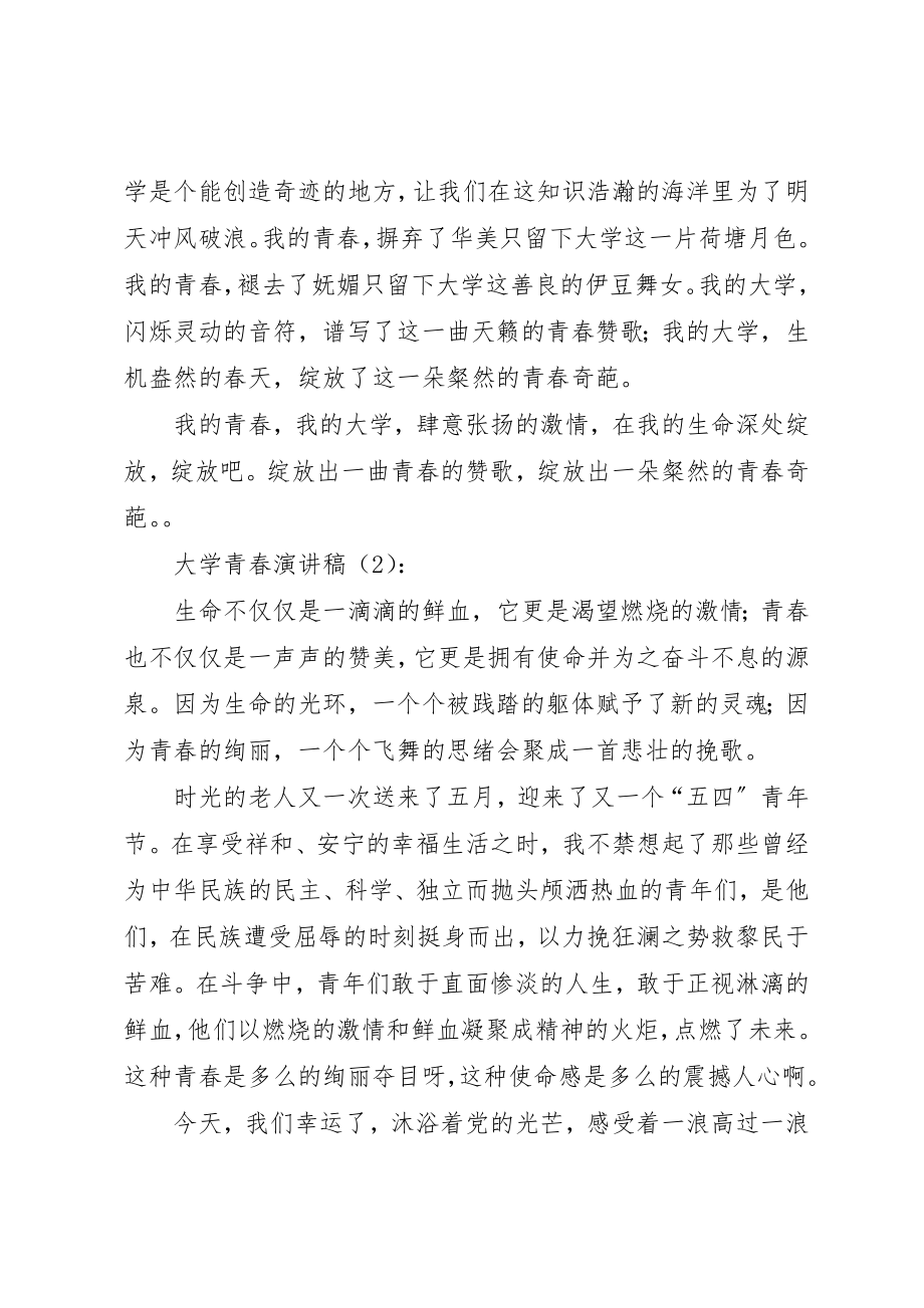 2023年大学青春演讲稿2篇新编.docx_第3页