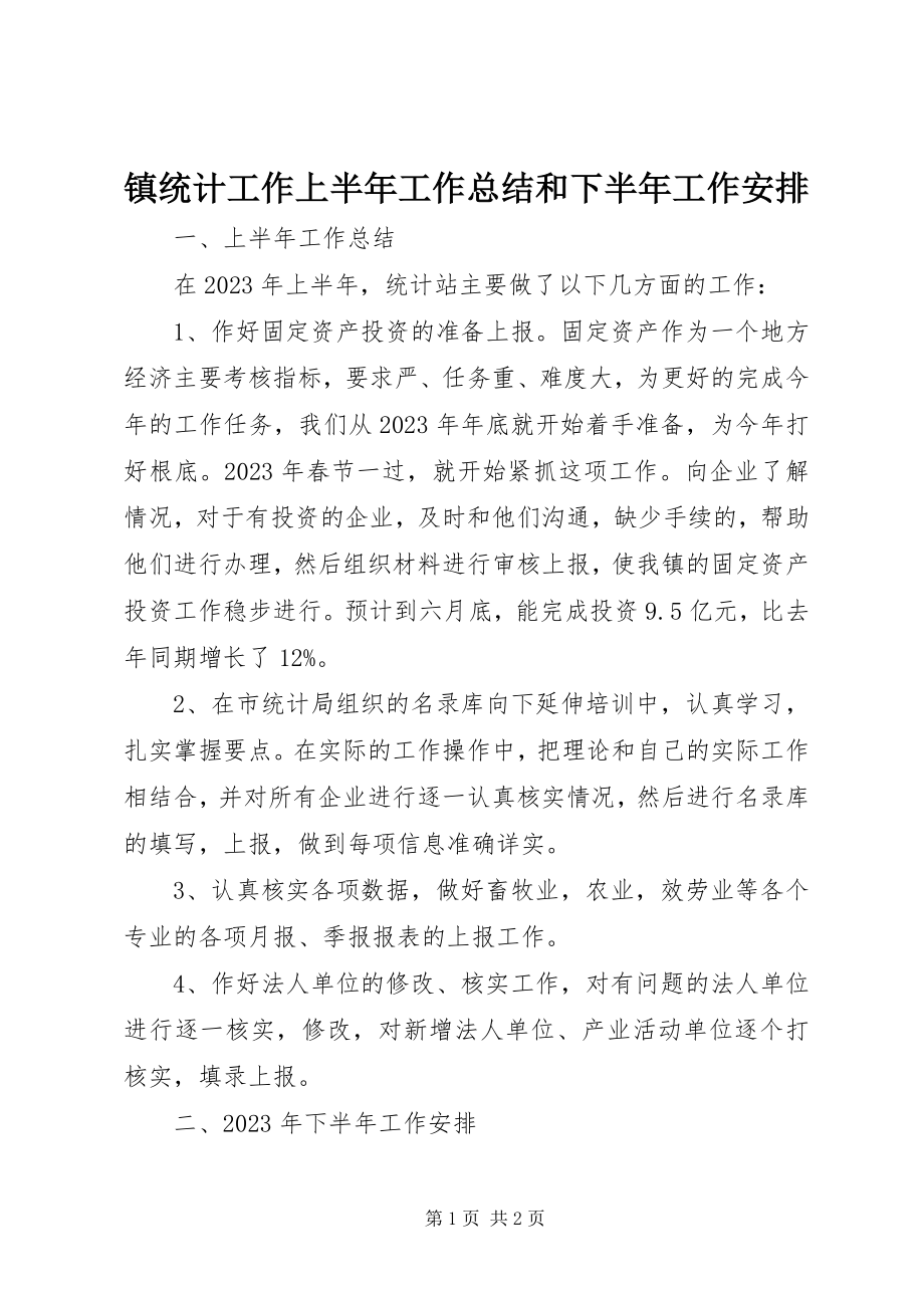 2023年镇统计工作上半年工作总结和下半年工作安排.docx_第1页