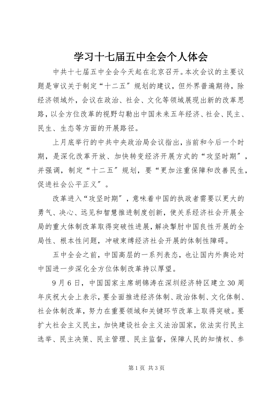 2023年学习十七届五中全会个人体会.docx_第1页