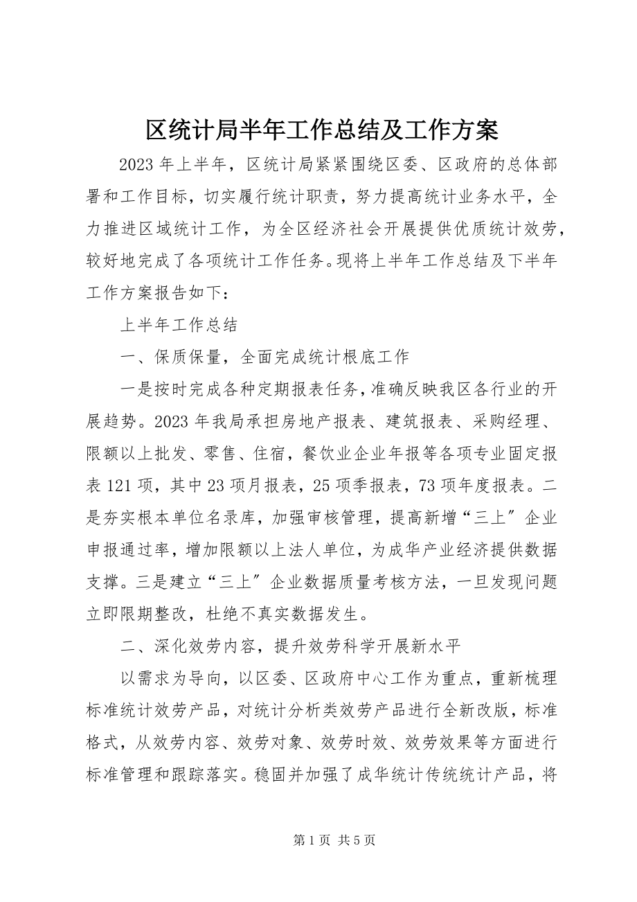 2023年区统计局半年工作总结及工作计划.docx_第1页