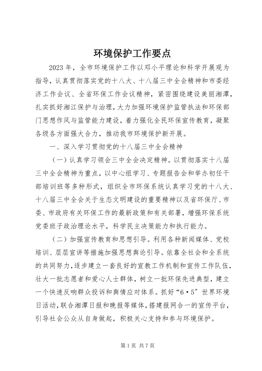 2023年环境保护工作要点.docx_第1页