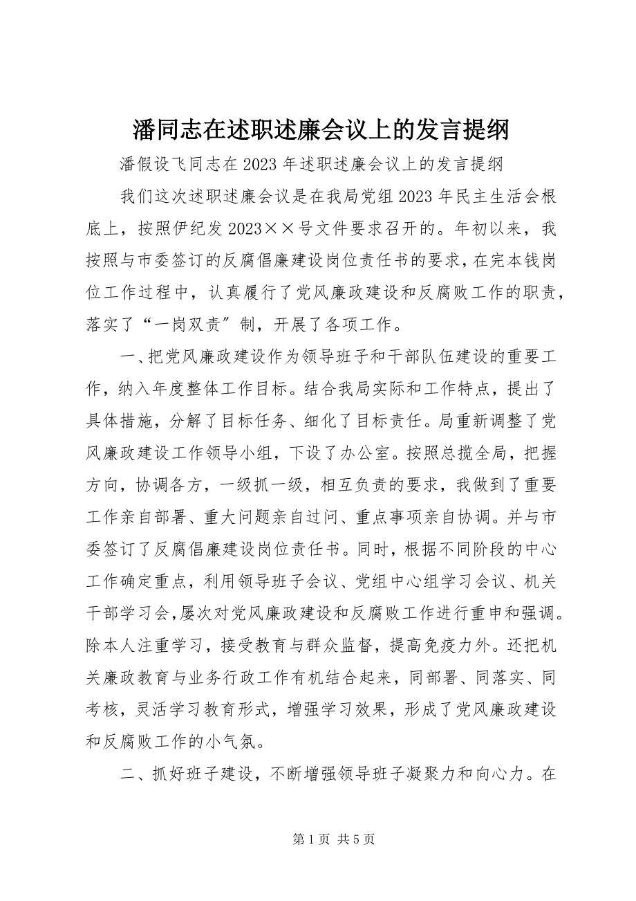 2023年潘同志在述职述廉会议上的讲话提纲.docx_第1页