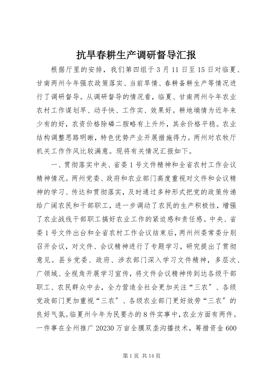 2023年抗旱春耕生产调研督导汇报.docx_第1页