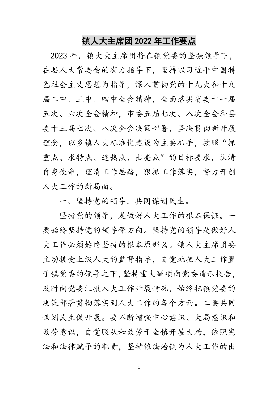 2023年镇人大主席团年工作要点范文.doc_第1页