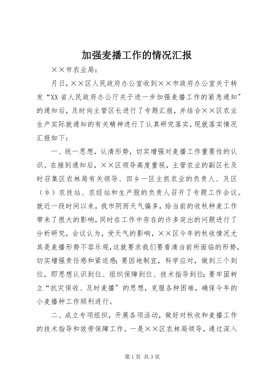 2023年加强麦播工作的情况汇报.docx_第1页