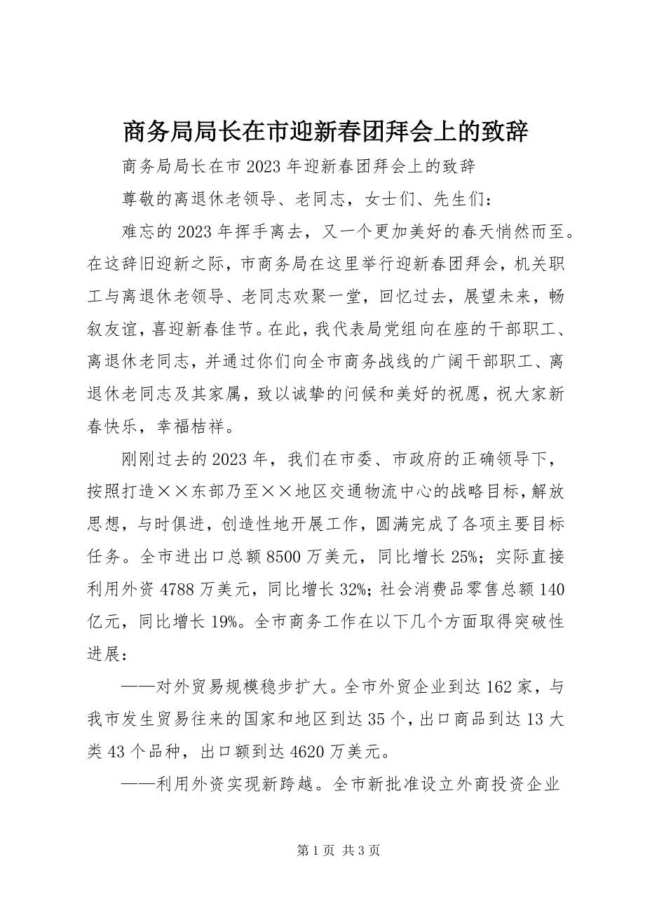 2023年商务局局长在市迎新春团拜会上的致辞.docx_第1页