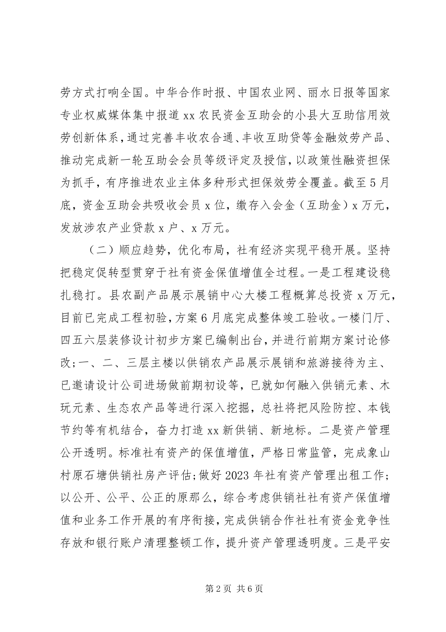 2023年供销合作总社某年上半年工作总结和下半年工作思路.docx_第2页