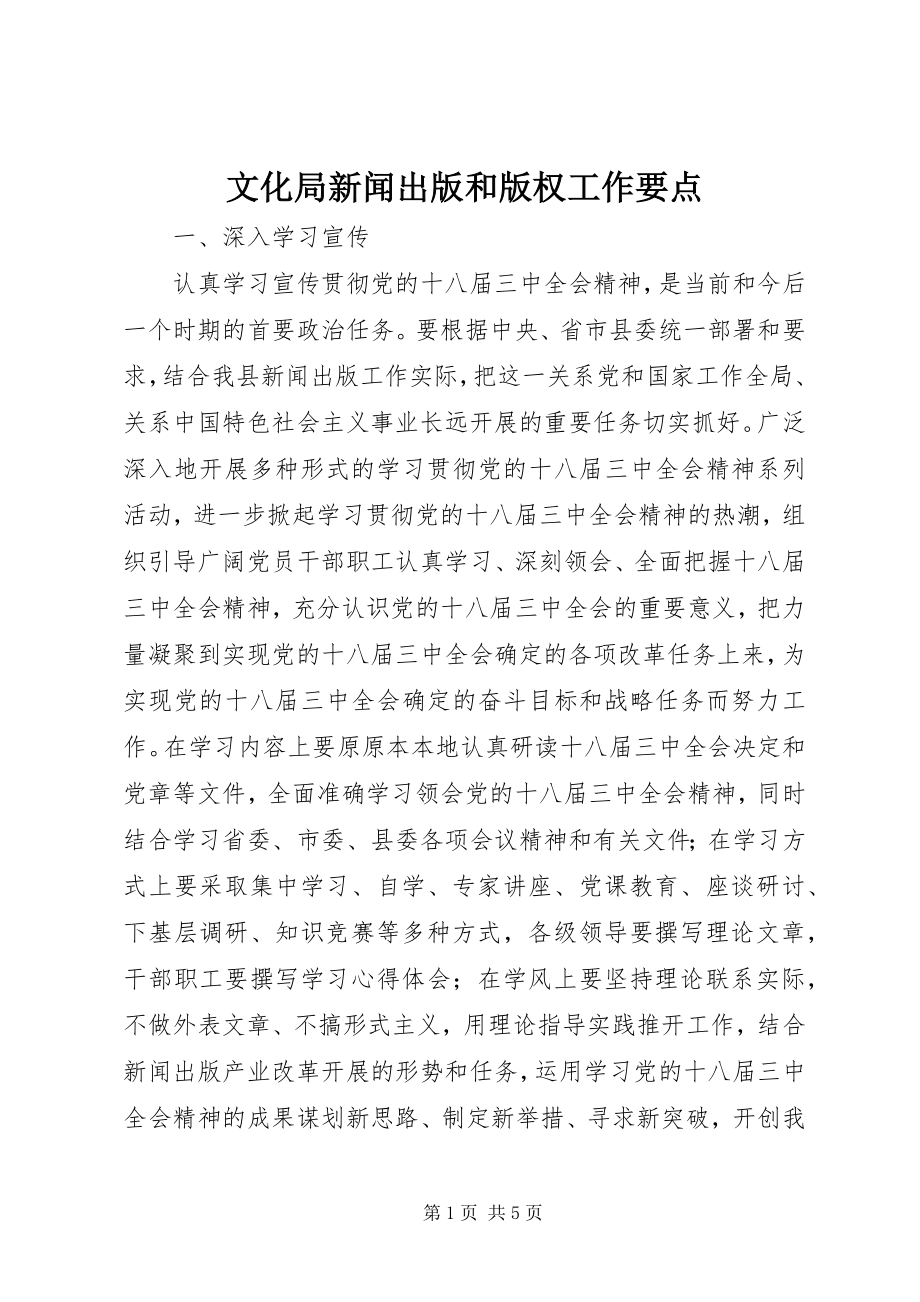 2023年文化局新闻出版和版权工作要点.docx_第1页