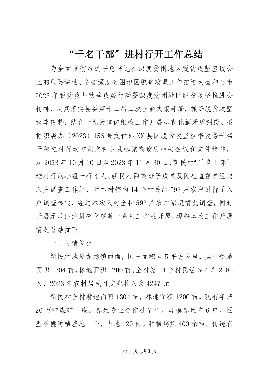 2023年千名干部进村行动工作总结.docx_第1页