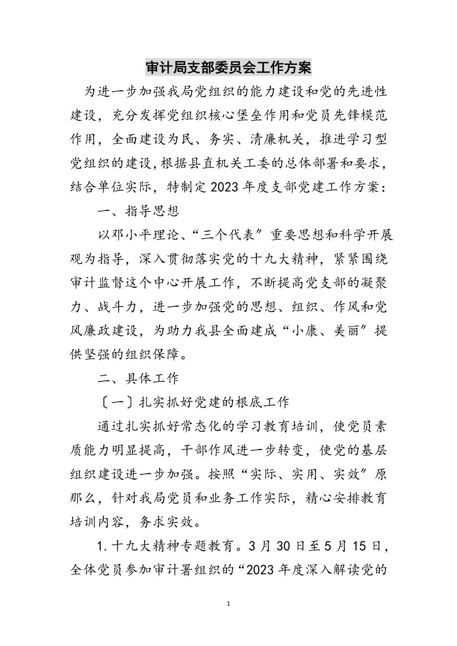 2023年审计局支部委员会工作计划范文.doc_第1页