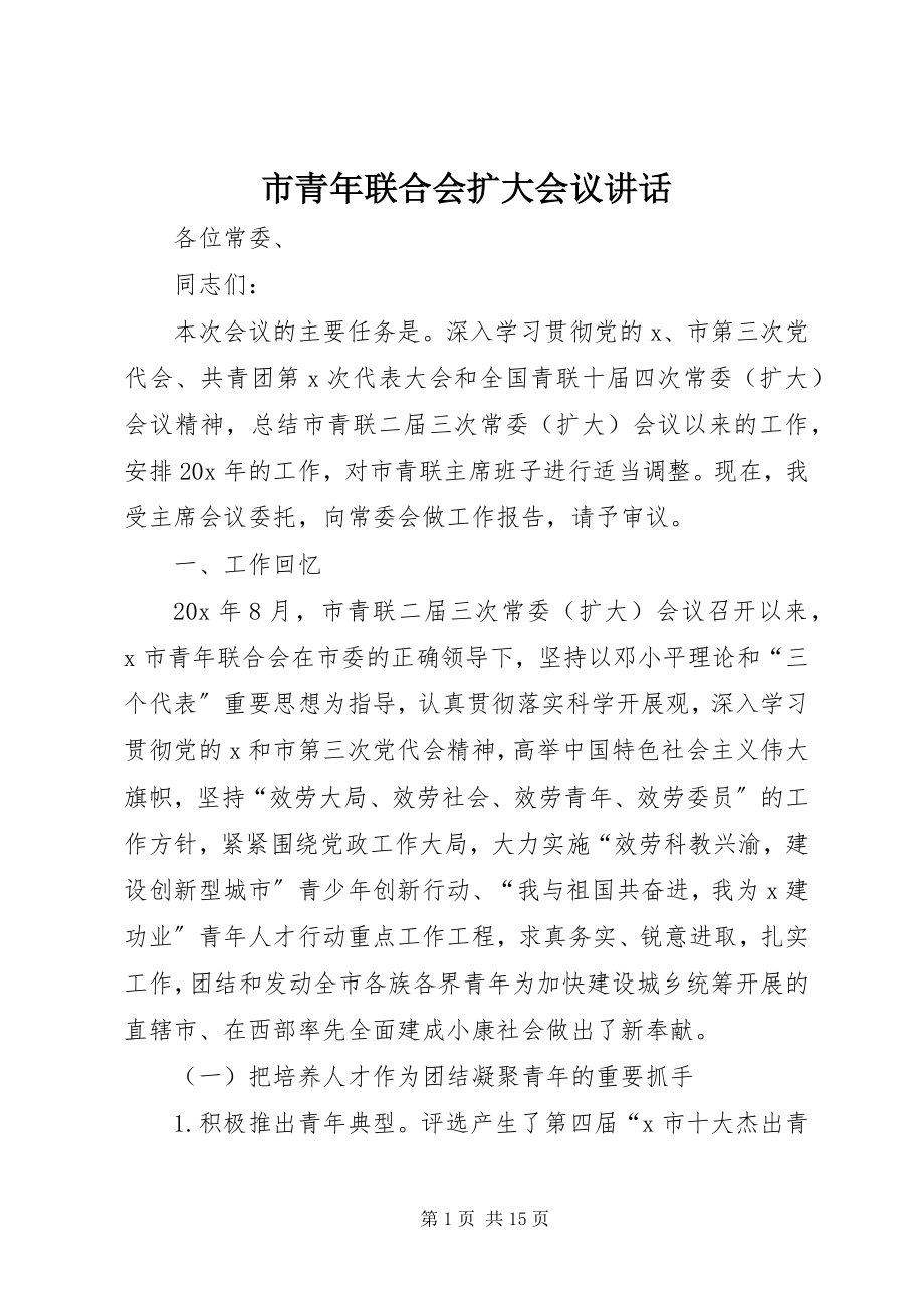 2023年市青年联合会扩大会议致辞.docx_第1页