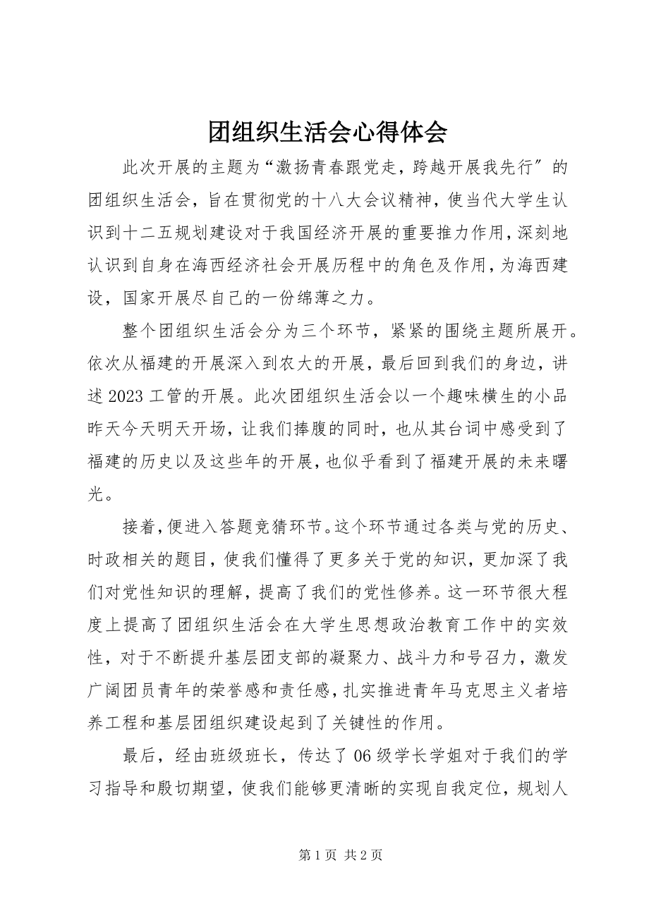 2023年团组织生活会心得体会.docx_第1页