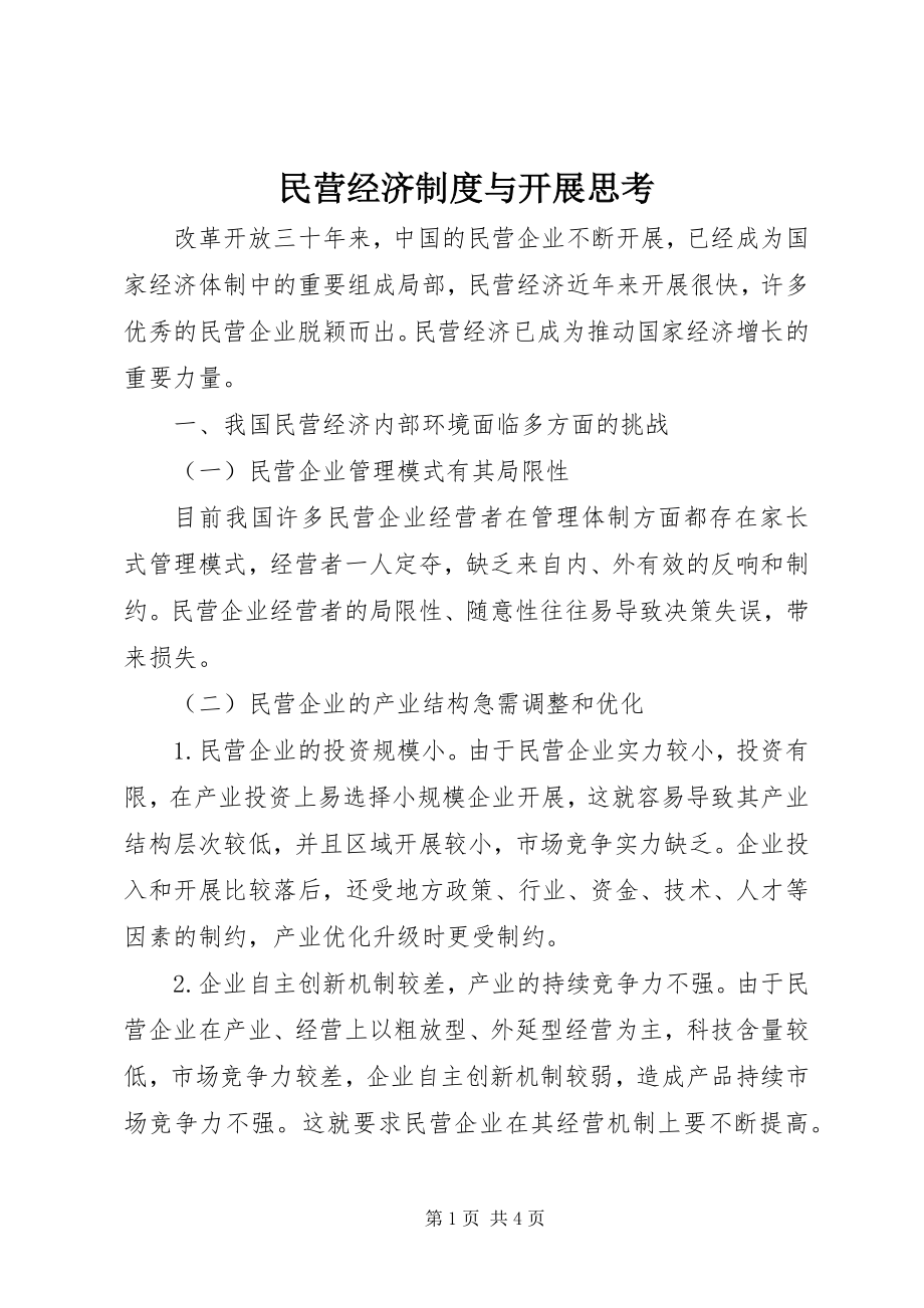 2023年民营经济制度与发展思考.docx_第1页