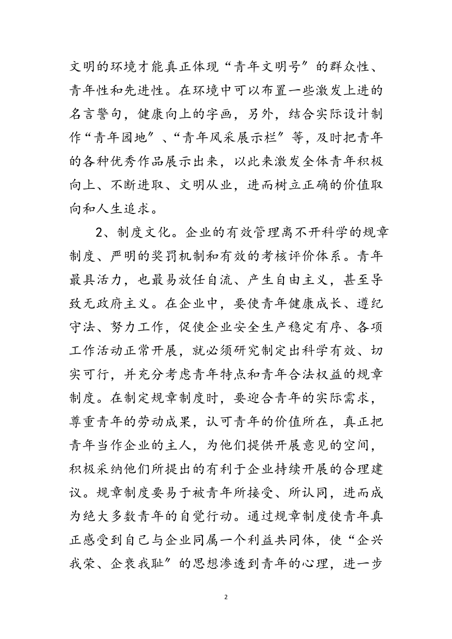 2023年企业培育青年群体文化的思考范文.doc_第2页