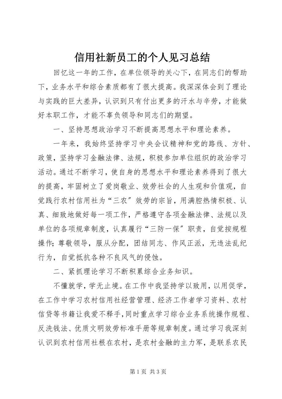 2023年信用社新员工的个人见习总结.docx_第1页