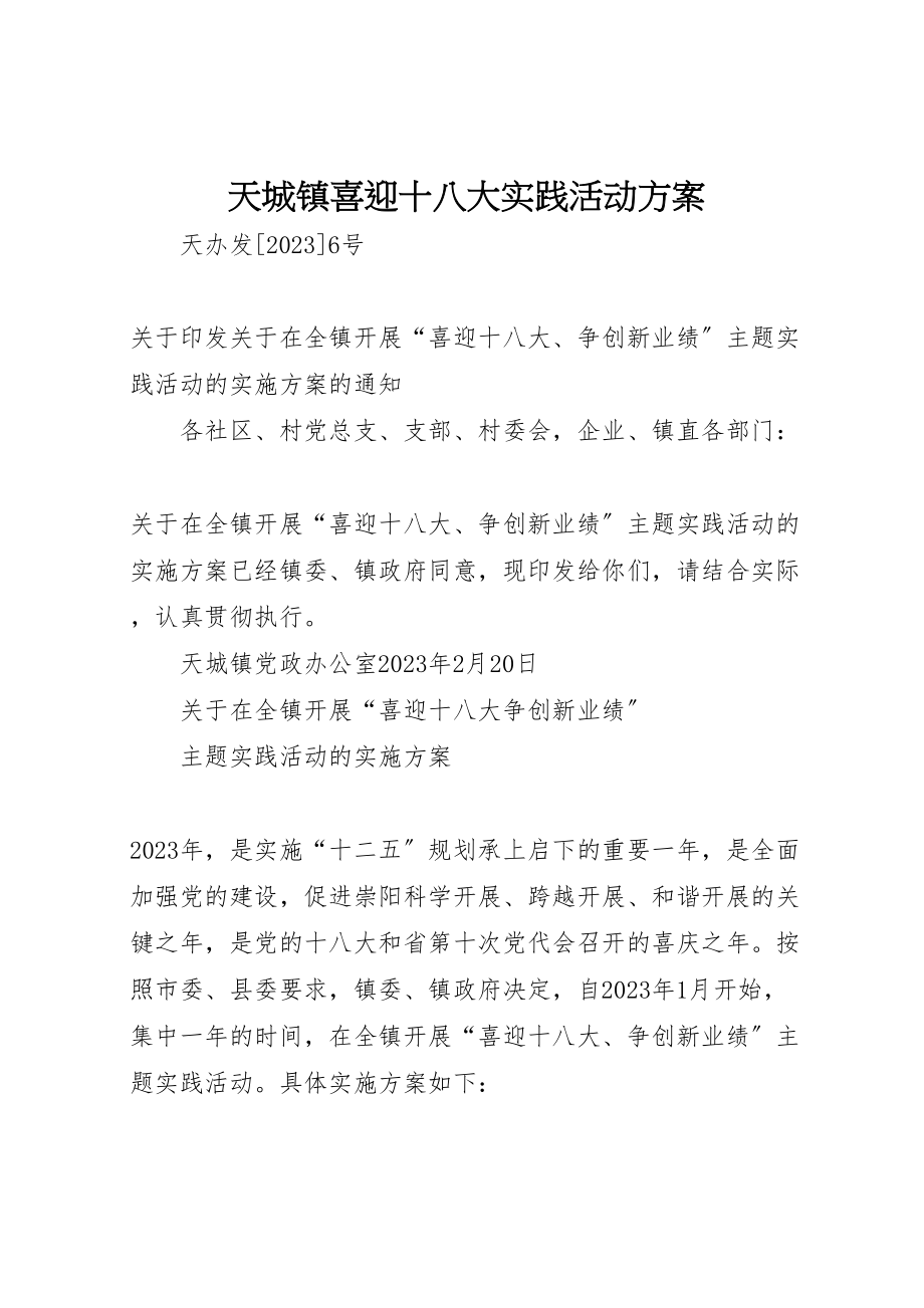 2023年天城镇喜迎十八大实践活动方案.doc_第1页