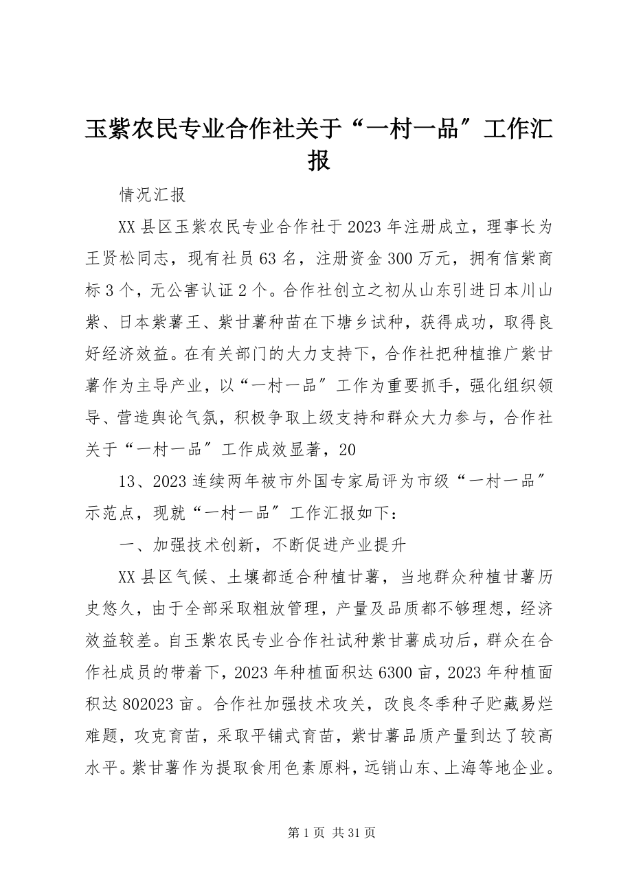 2023年玉紫农民专业合作社关于“一村一品”工作汇报.docx_第1页