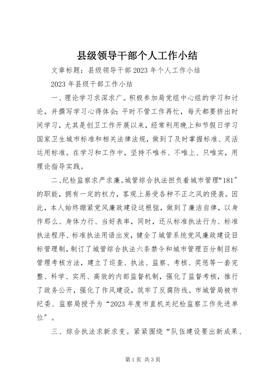 2023年县级领导干部个人工作小结.docx_第1页