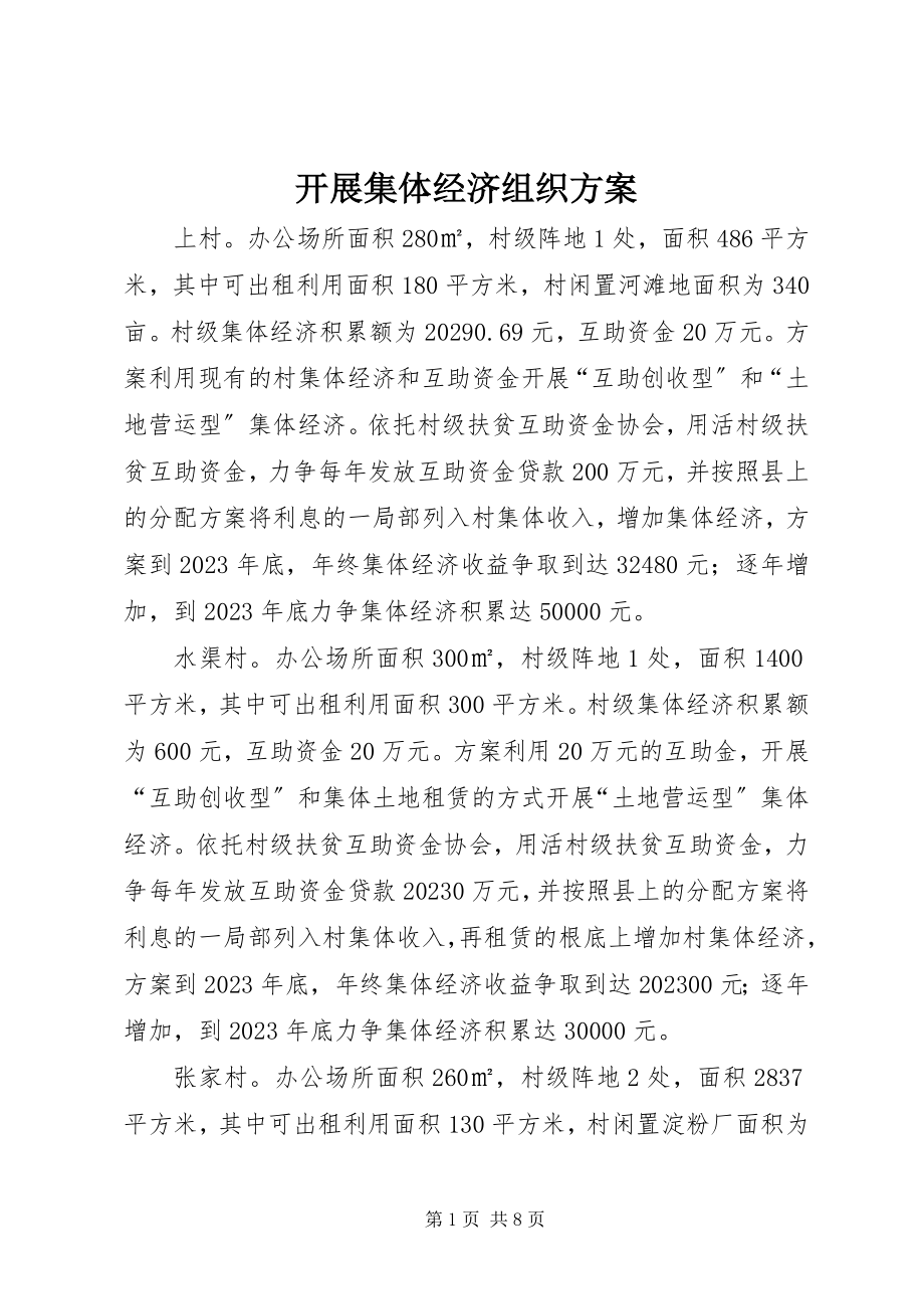 2023年发展集体经济组织方案.docx_第1页