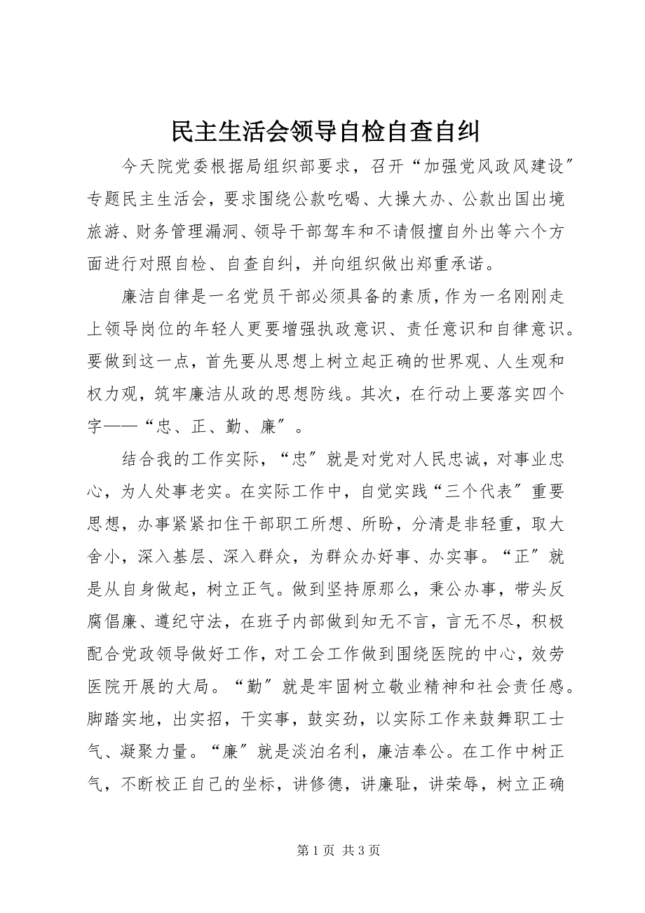 2023年民主生活会领导自检自查自纠.docx_第1页