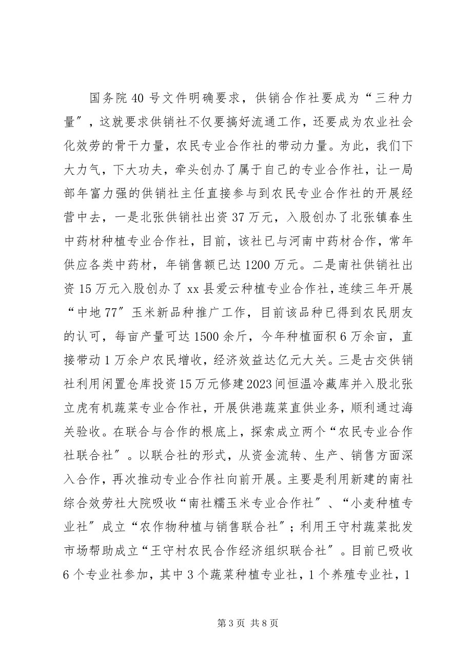 2023年供销社年终总结和工作安排.docx_第3页