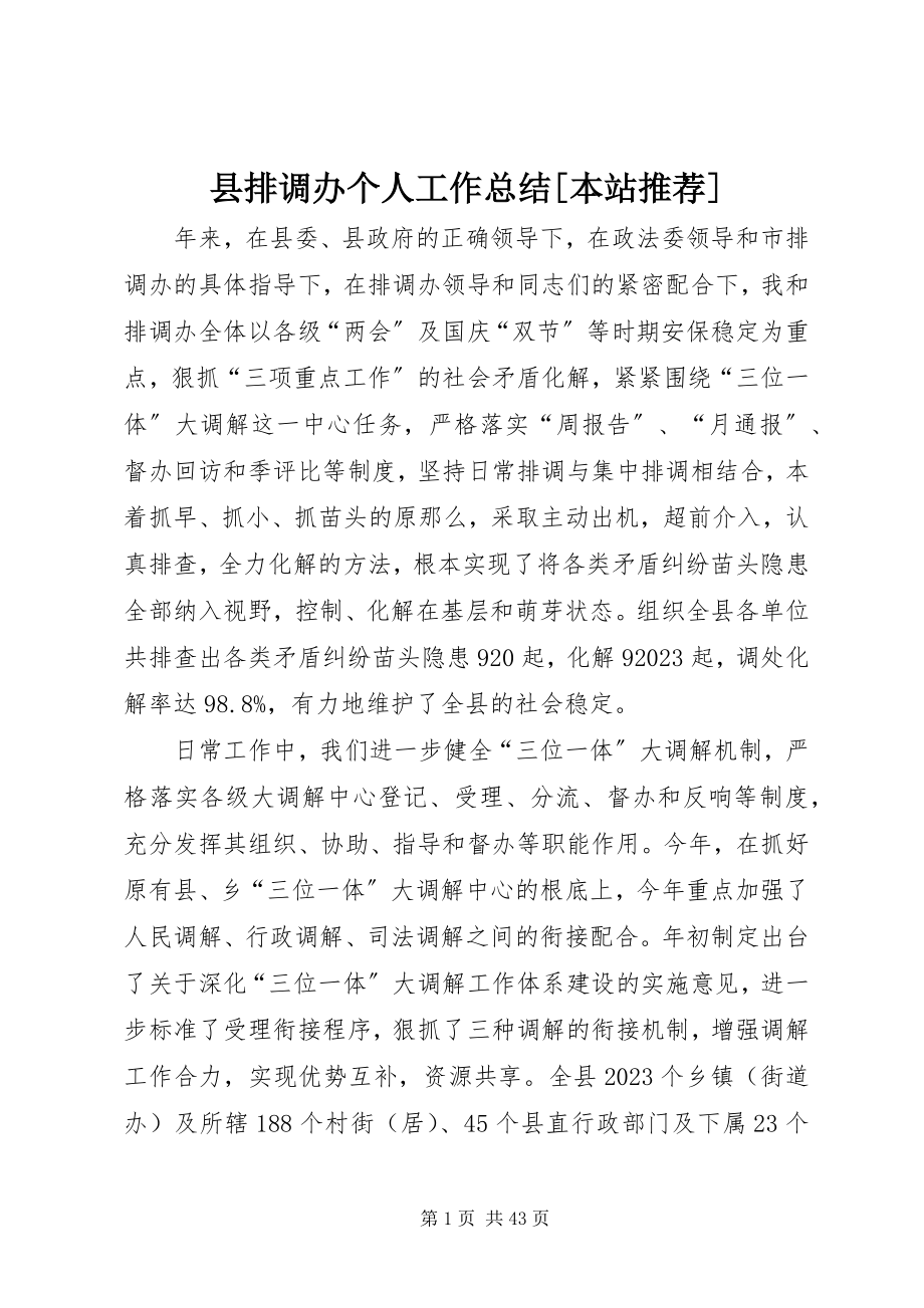 2023年县排调办个人工作总结本站推荐.docx_第1页