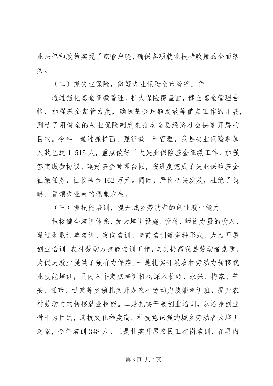 2023年就业服务管理局工作总结.docx_第3页